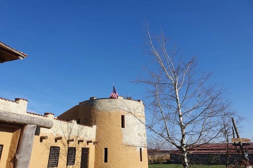Ferienhaus in Hasselfelde - Haus 47 Blauvogel - foto 24
