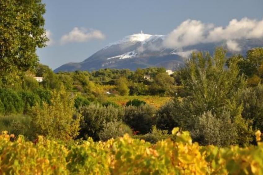 FERIENHAUS, FERIENHAUS "MAISON DE LAVANDE" (LAVENDELHAUS) - foto 23