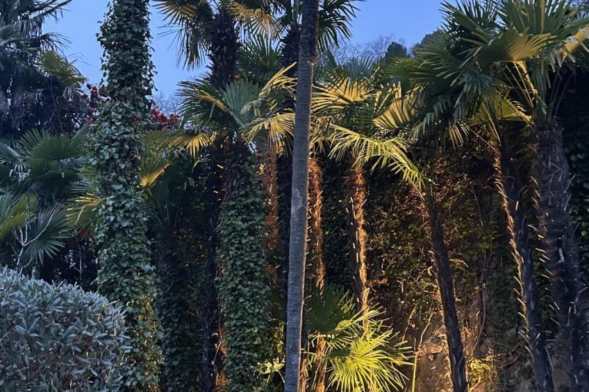 La Quercia - foto 26