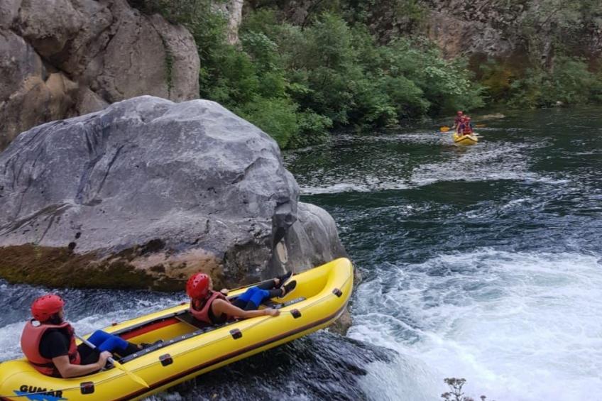 La Finca OliveTree - foto 46