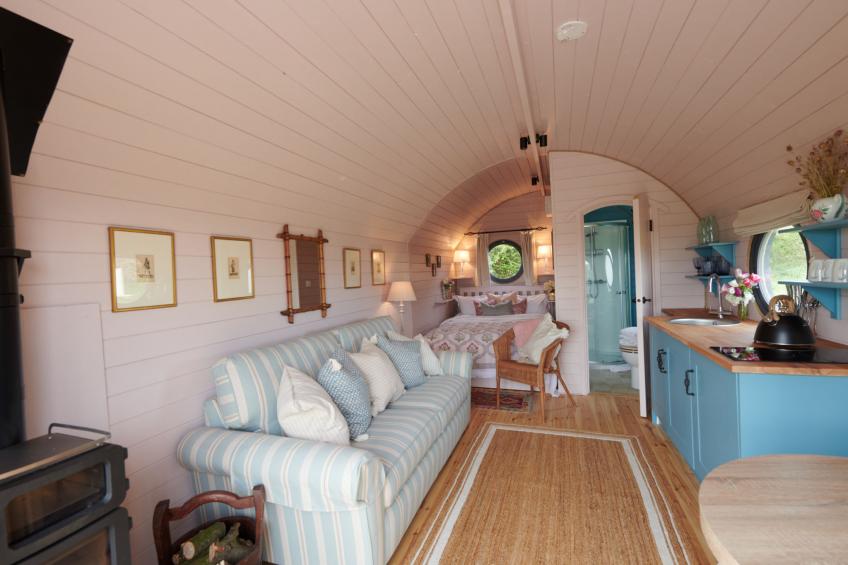 The Cornflower - foto 4