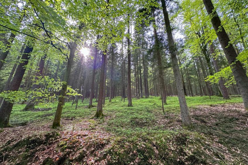 Feriendorf Seeblick - Tiny Nr 7 - foto 28