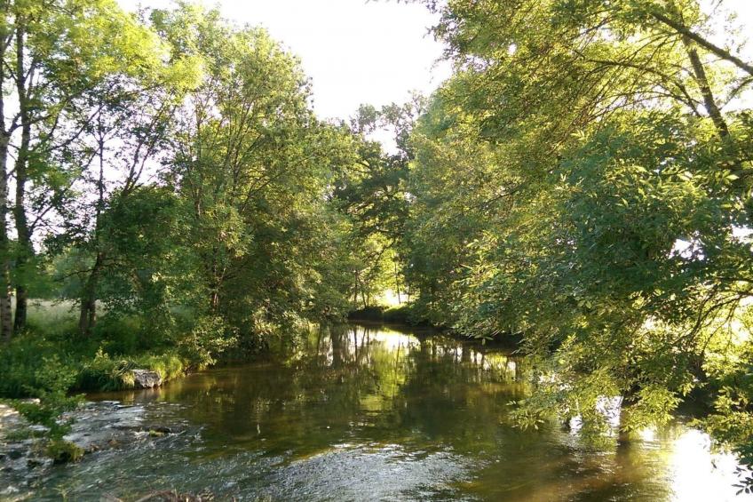 La Monestière - foto 25