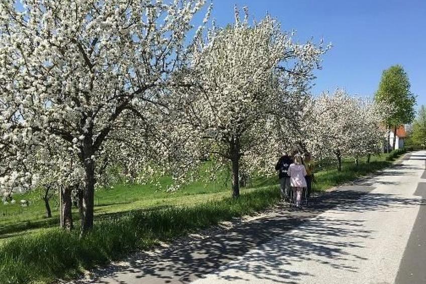 Thermen Apartment - foto 42