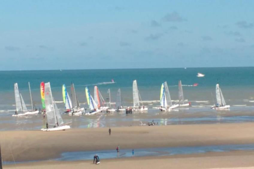 Zilte Rust - foto 33