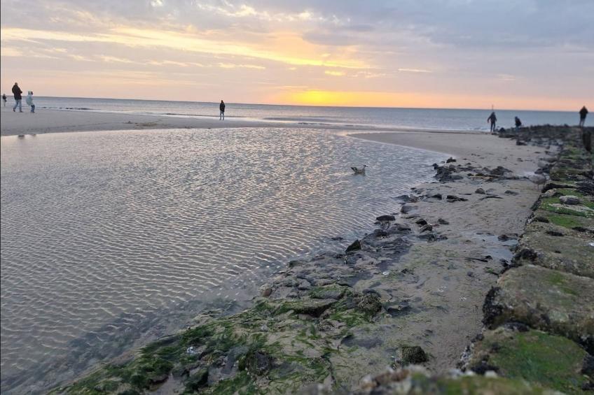 Apartments home Andrea, Westerland - Type A - foto 28