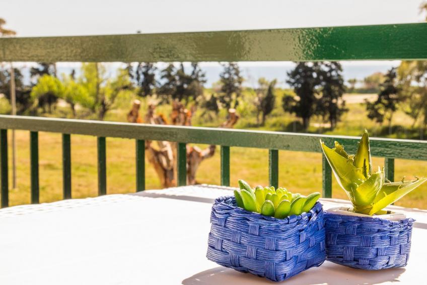 Studio mit Korallenblick in Chianchitta-Pallio