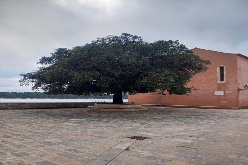 Guest House Green Corner Supetarska Draga - Triple Room with Terrace and Sea View - foto 20