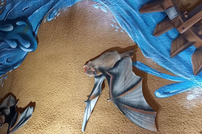 in der Vulkaneifel - foto 22