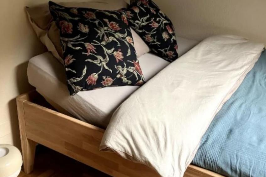 Wohnung mit Bergblick - foto 12