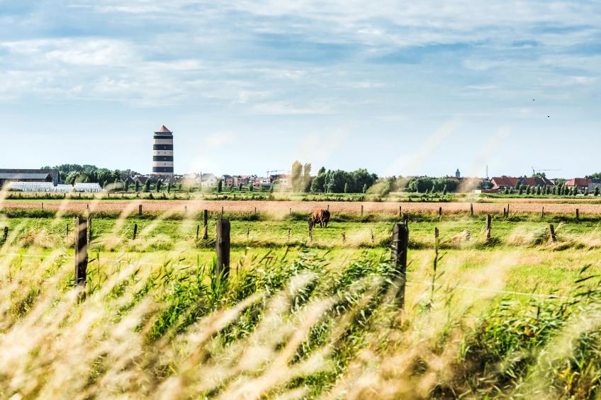 Sea Garden - foto 10