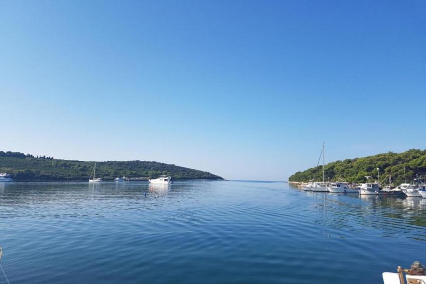 Apartment Banjole - 200 m from the Beach - foto 31