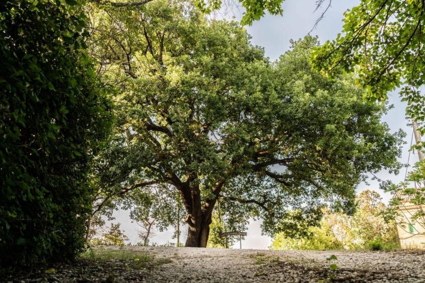 Villa mit privatem Pool und unglaublicher Aussicht - foto 11