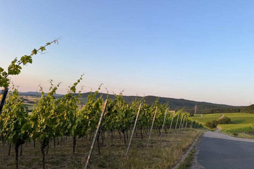 Panorama 180° - foto 21