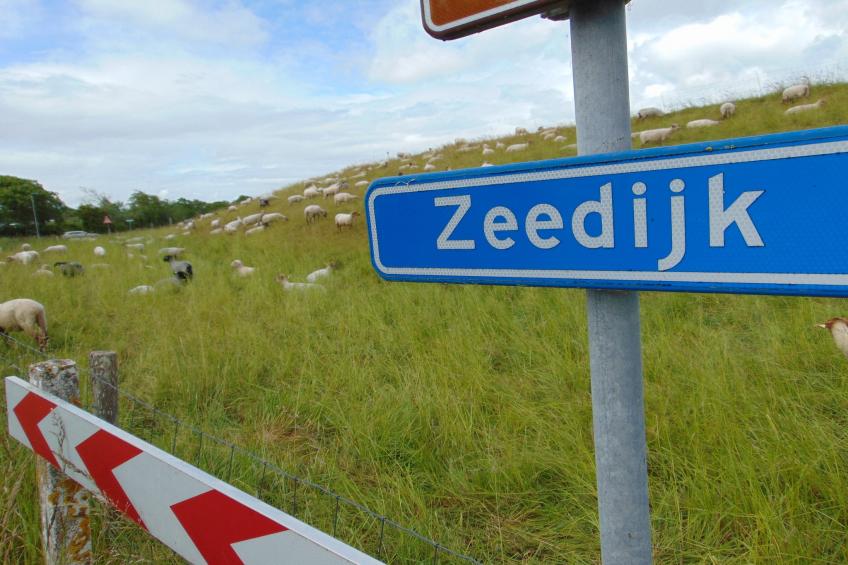 't Schuurtje - foto 22