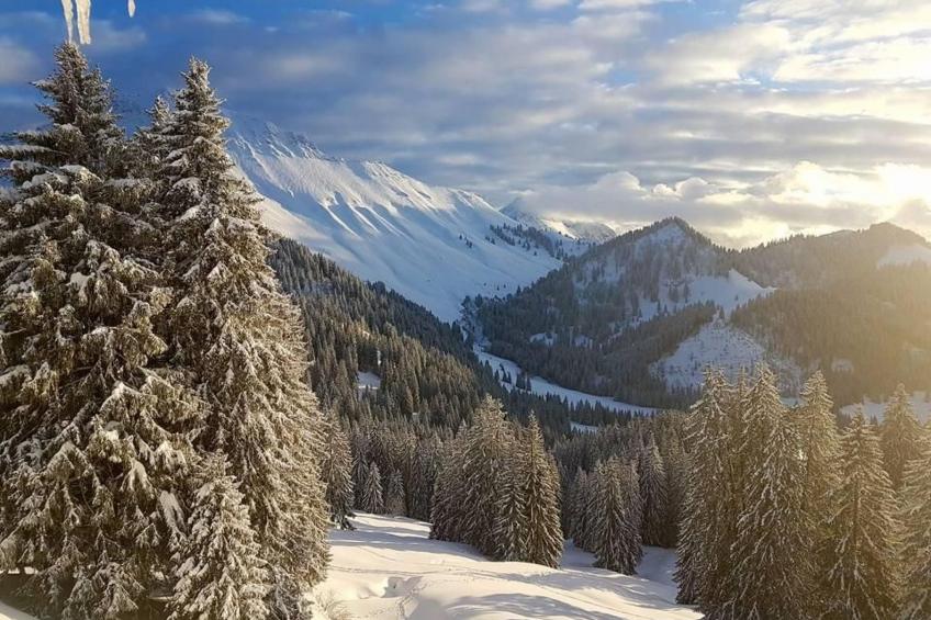 Maiensäss Romantica - foto 26