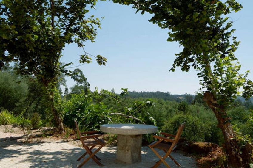 Großes renoviertes Landhaus in Tondela - foto 28