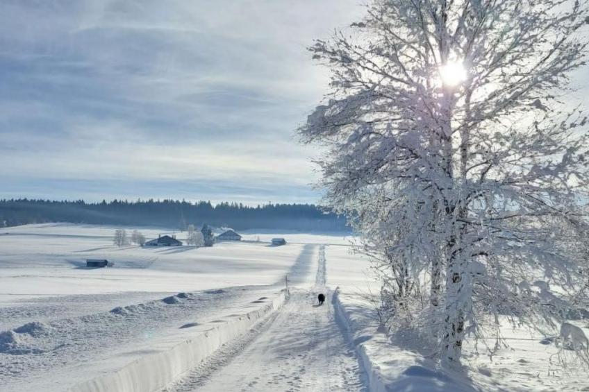 Wohnung in altem, renoviertem Bauernhaus - foto 50