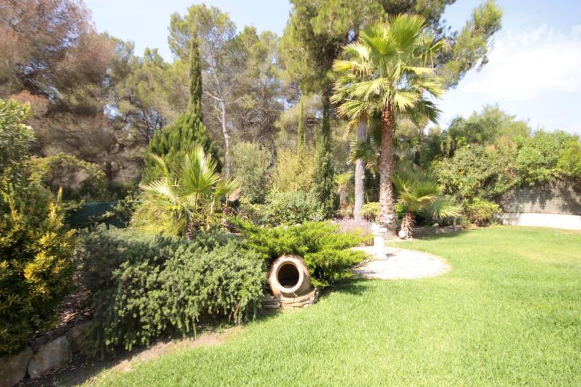 Amaya - foto 10