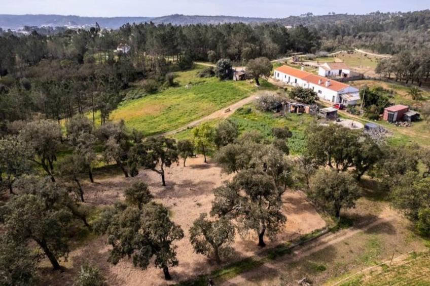 Casinha Da Paz - foto 40