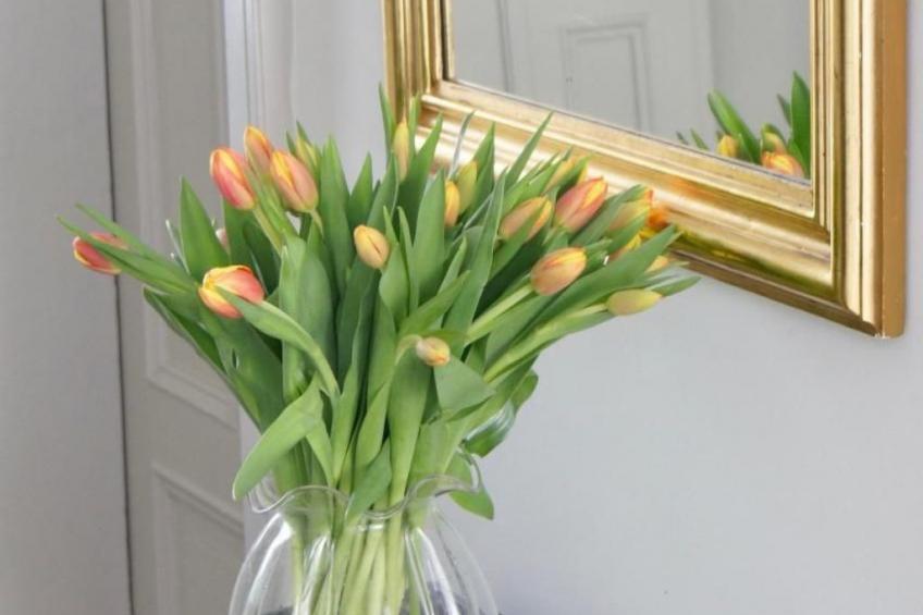 Villa Salve - foto 9