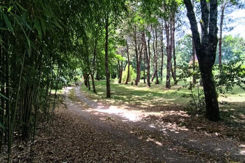 Maison à Rives de l'Yon - foto 3