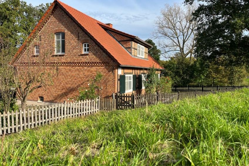 Haus Elbrose inmitten von Rosen mit Elbdeichzugang - foto 3