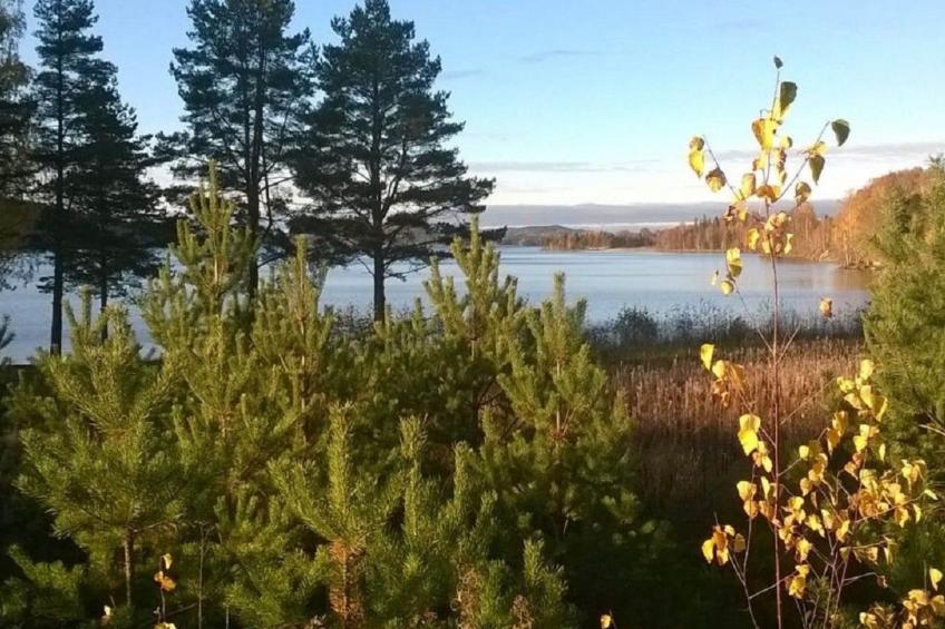 Willkommen im Stable House - foto 41