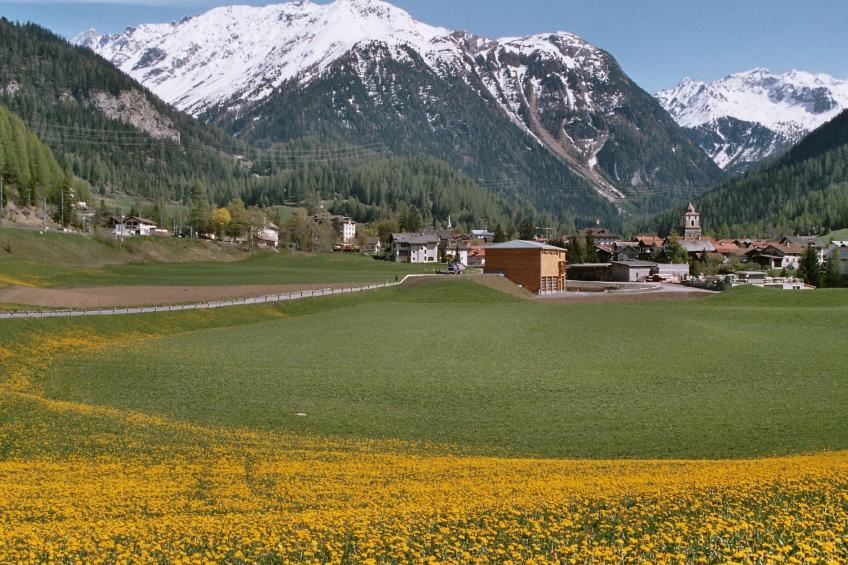 Haus Buol Bergün, (Bergün/Bravuogn), 213 - foto 19