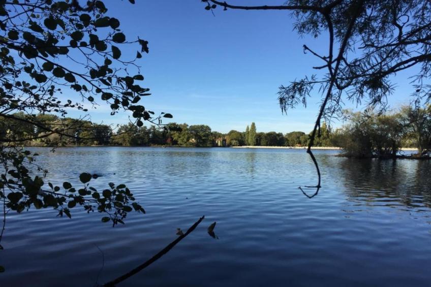 Le Château de La Gau - foto 33