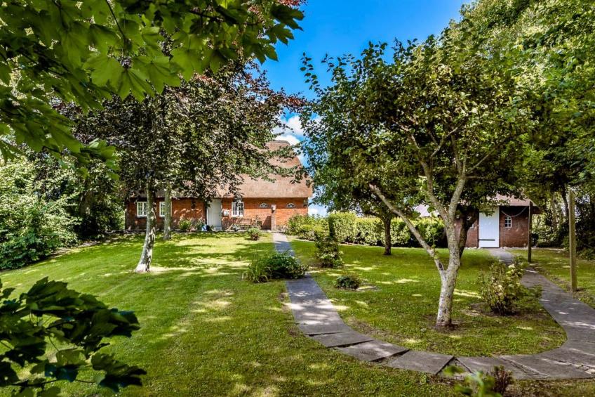 Reetdachhaus inmitten von Wiesen und Feldern - foto 8