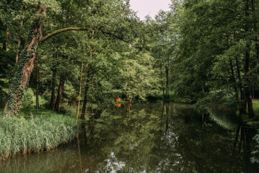 Im Erzgebirge - foto 15