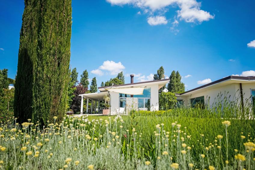 Mulberry Garden - foto 120