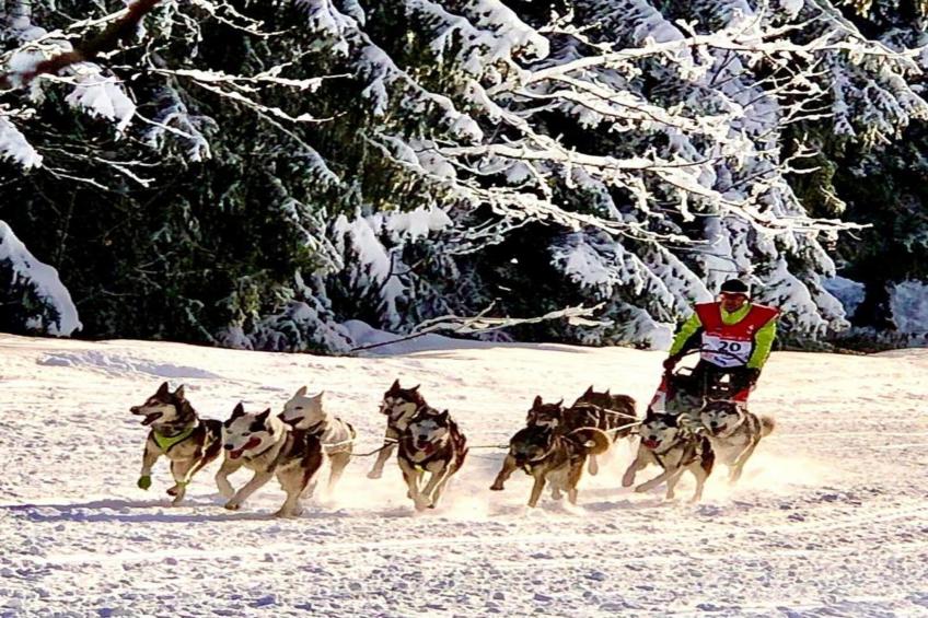 LES ARCADES A N°37 - 2P4 - foto 28