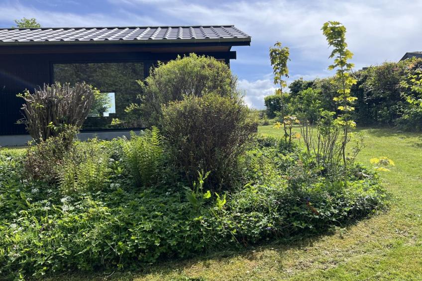 "Radica" - 400m from the sea - foto 30