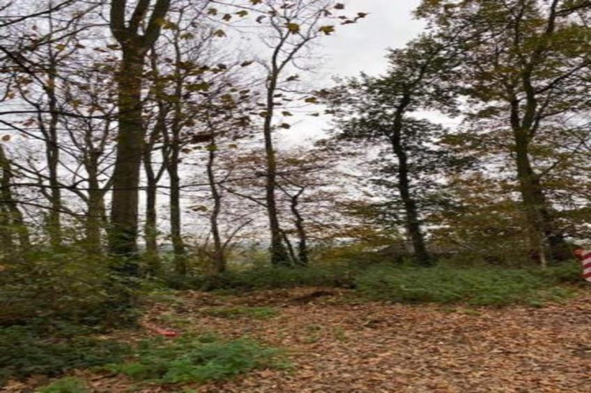 Hommelhove - foto 30