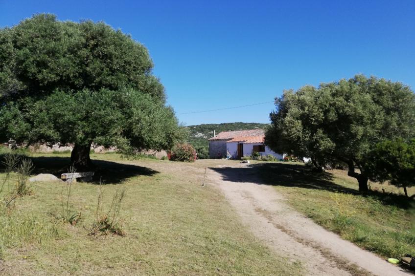 Stazzo mit Garten in Luogosanto - foto 6