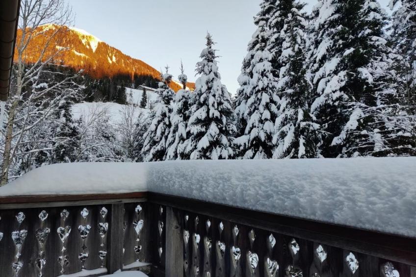 Chalet Baslerdybli - foto 17