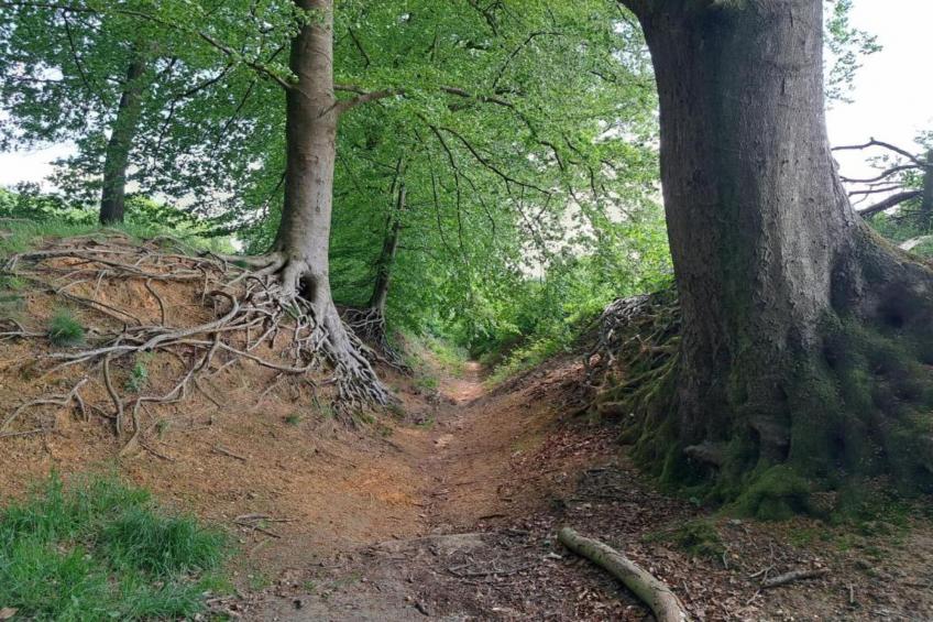 Villapark Ehzerburg 2 - foto 30