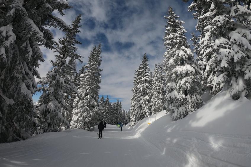 Bergchalet - foto 25