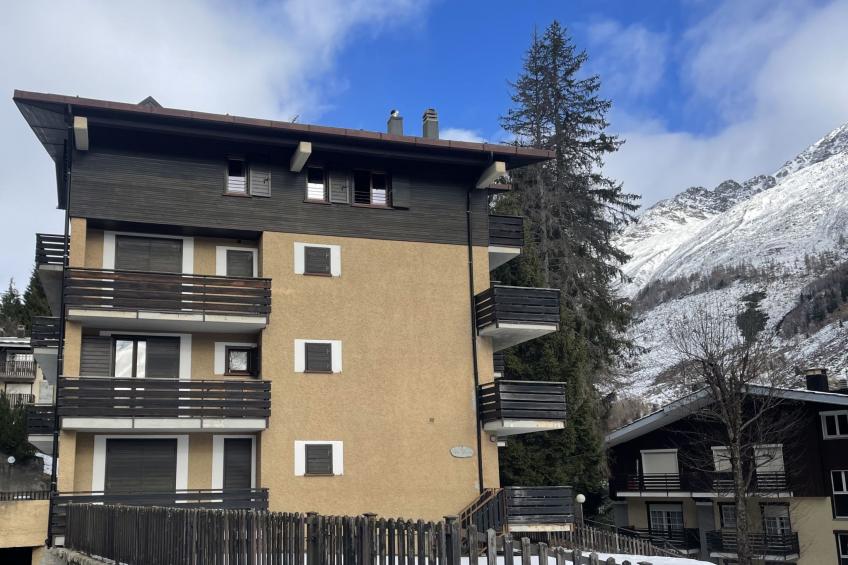 Pino Bianco - foto 27