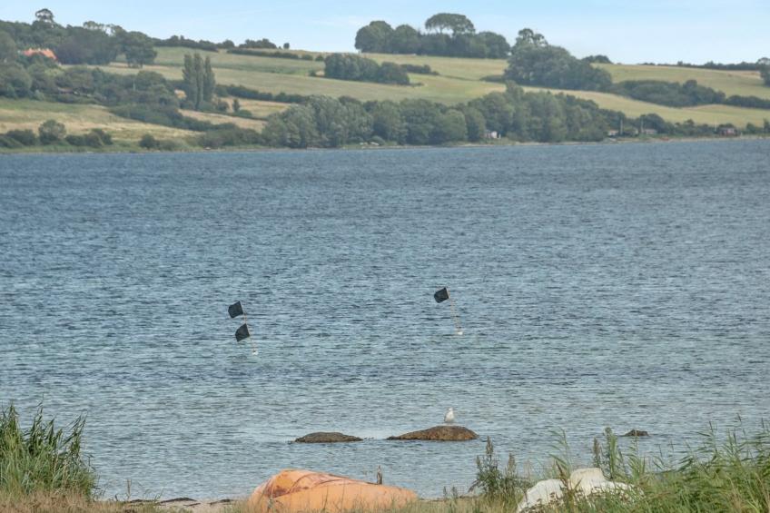 "Elain" -  from the sea in SE Jutland - foto 4