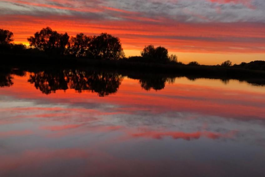 mit Sauna und Kaminofen - foto 3