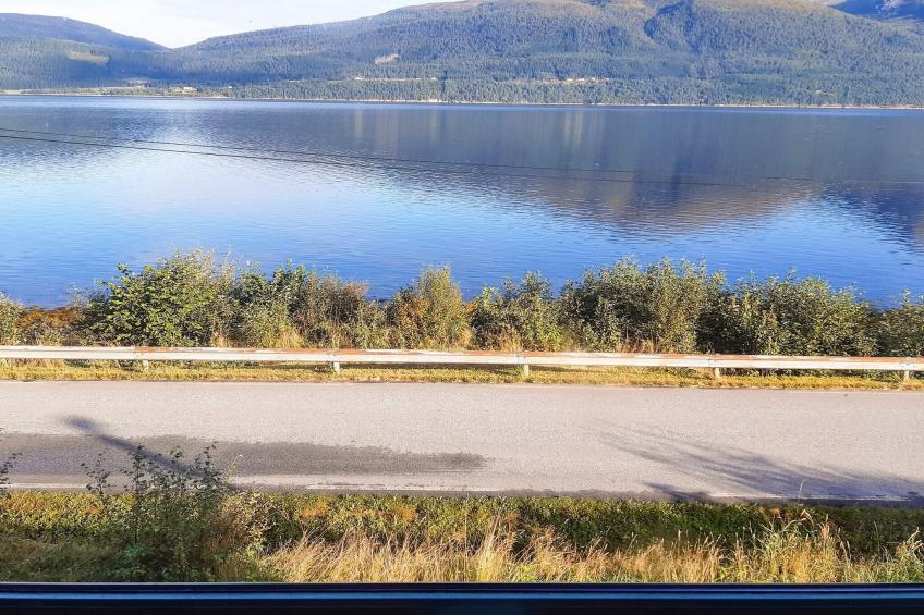 38490-LUNHEIM - foto 4