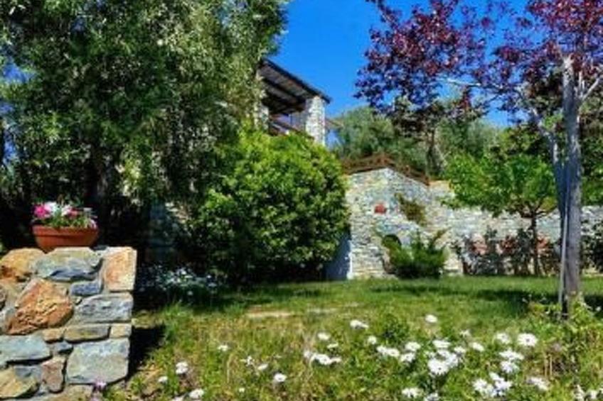 Margarites - foto 28