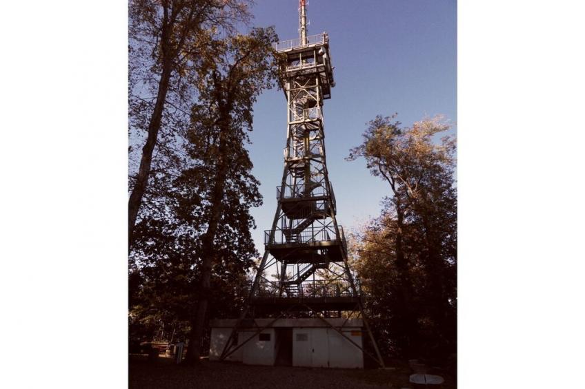 231148 - foto 17