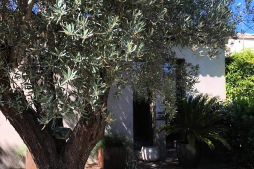 La Matina : Expérimentez Une Maison D'architecte - foto 39