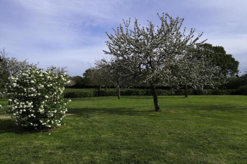 GITE DE LA MOTTE - foto 33