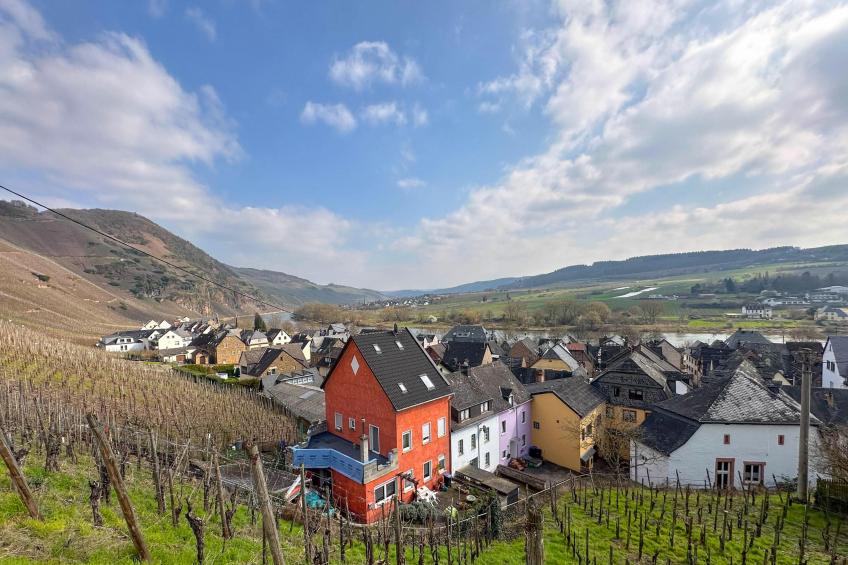 Panoramablick - foto 20