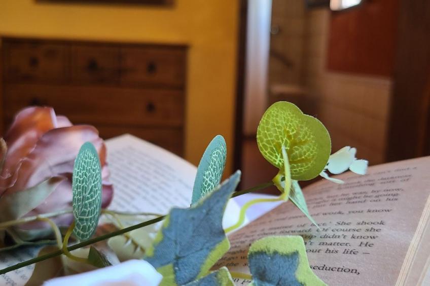 in Algarinejo mit Eigener Terrasse - foto 50